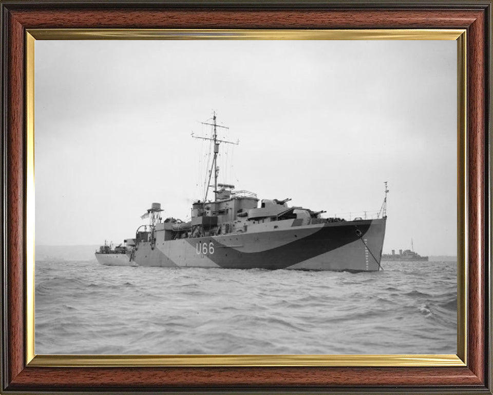 HMS Starling U66 Royal Navy Modified Black Swan Class sloop Photo Print or Framed Print - Hampshire Prints