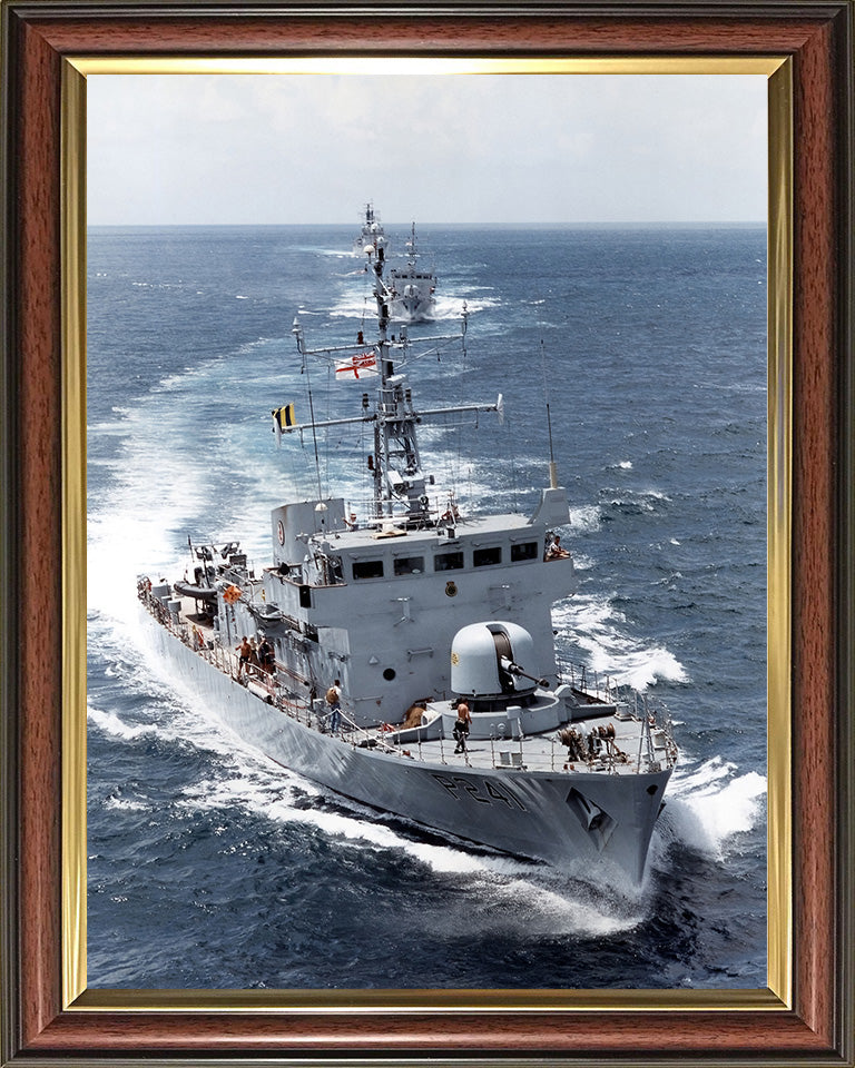 HMS Starling P241 | Photo Print | Framed Print | Peacock Class | Patrol Vessel | Royal Navy - Hampshire Prints