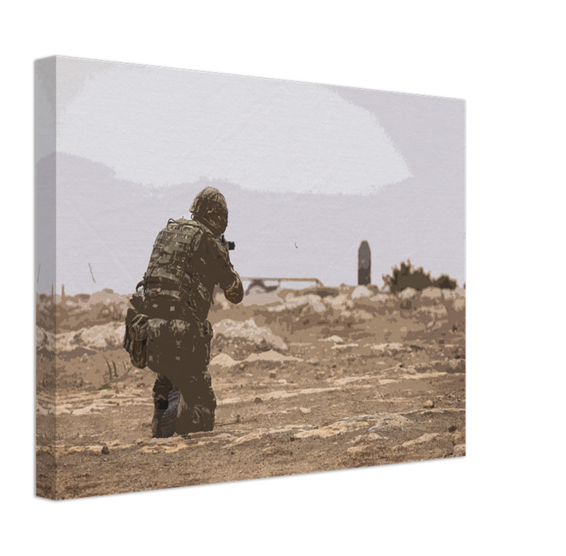 Royal Marines Commando on a firing range artwork Print - Canvas - Framed Print - Hampshire Prints