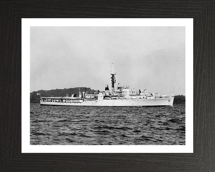 HMS Crane U23 Royal Navy Modified Black Swan Class sloop Photo Print or Framed Print - Hampshire Prints