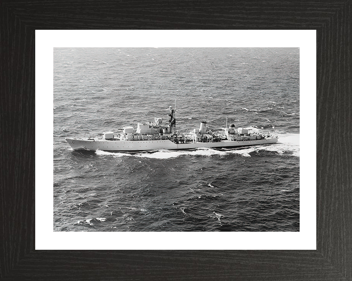 HMS Diana D126 Royal Navy Daring class destroyer Photo Print or Framed Print - Hampshire Prints