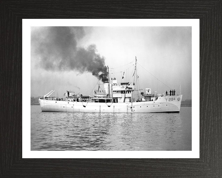 HMS Bern T294 Royal Navy Isles class Trawler Photo Print or Framed Print - Hampshire Prints