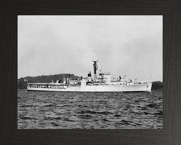 HMS Crane U23 Royal Navy Modified Black Swan Class sloop Photo Print or Framed Print - Hampshire Prints