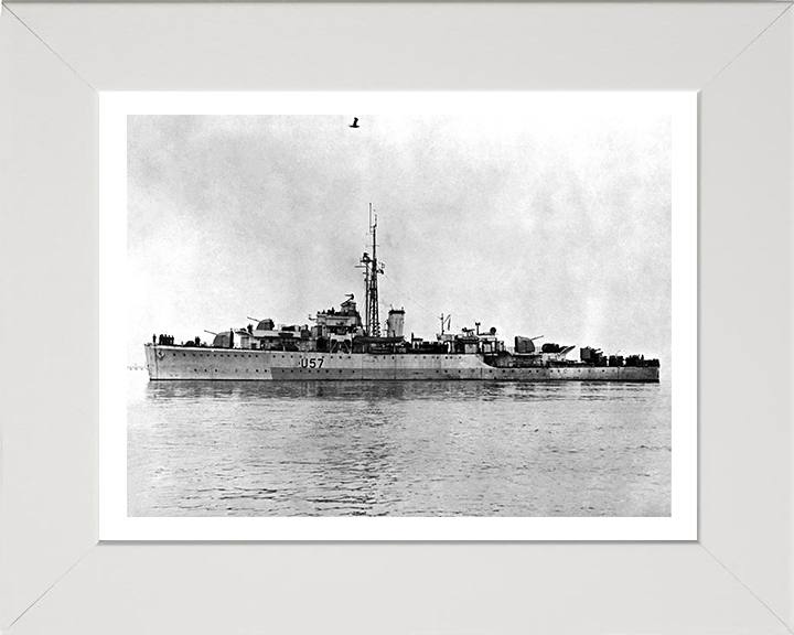 HMS Black Swan U57 (L57) Royal Navy Black Swan Class sloop Photo Print or Framed Print - Hampshire Prints