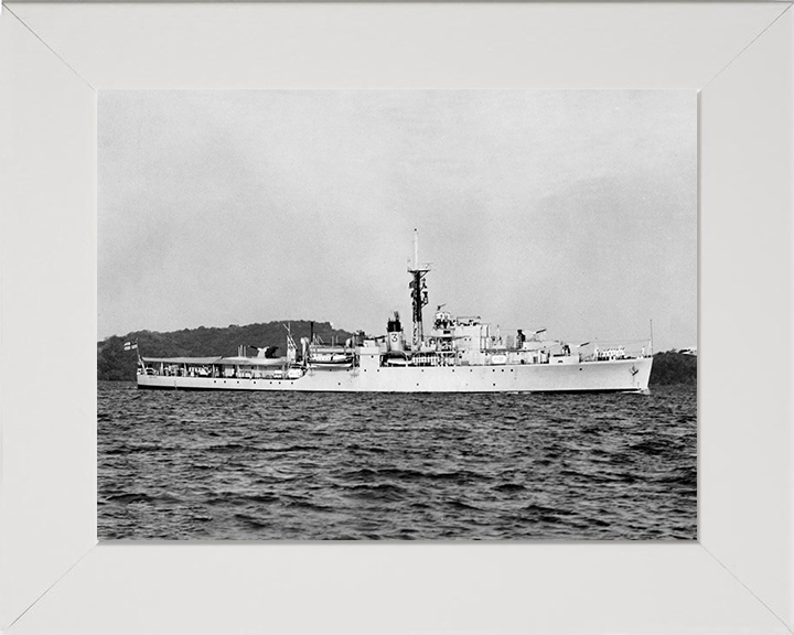 HMS Crane U23 Royal Navy Modified Black Swan Class sloop Photo Print or Framed Print - Hampshire Prints