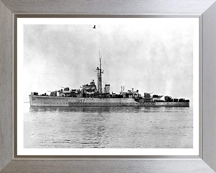 HMS Black Swan U57 (L57) Royal Navy Black Swan Class sloop Photo Print or Framed Print - Hampshire Prints