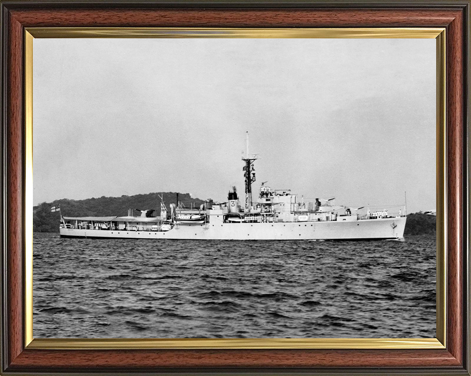 HMS Crane U23 Royal Navy Modified Black Swan Class sloop Photo Print or Framed Print - Hampshire Prints